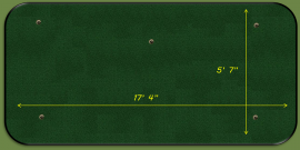 Major Champion Putting Green