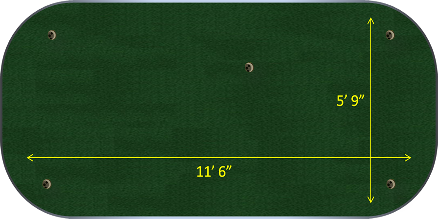 Professional Putting Trainer