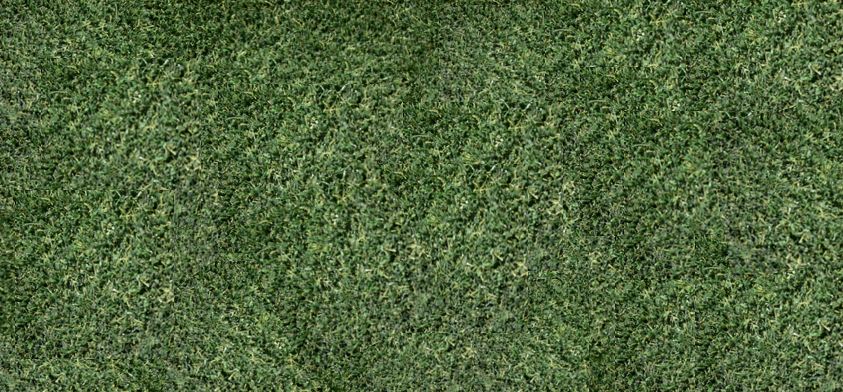 Realistic Artificial Putting Turf