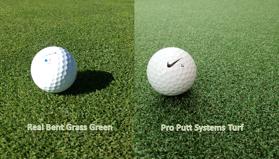 Pro Putt Systems Turf next to Real Bent Grass