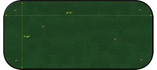 8ft x 18ft indoor putting green