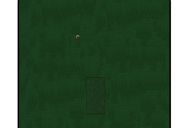 Standard Model Simulator Green